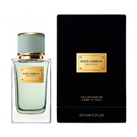 DOLCE & GABBANA Velvet Infusion